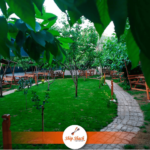 Ship Shack Cafe Restaurant Kır Düğünü Mekanları Fiyatları Tuzla İstanbul