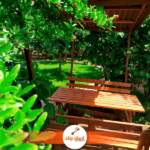 Ship Shack Cafe Restaurant Kır Düğünü Mekanları Fiyatları Tuzla İstanbul