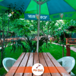 Ship Shack Cafe Restaurant Kır Düğünü Mekanları Fiyatları Tuzla İstanbul