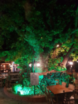 Çatalca Tarihi Çınaraltı Restaurant Kına Gecesi Fiyatları Çatalca İstanbul