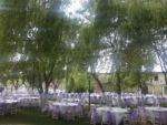 Çatalca Park Restaurant Kına Gecesi Fiyatları Çatalca İstanbul