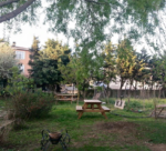 Çakıl Sofrası Kına Gecesi Fiyatları Çatalca İstanbul