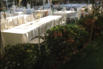 Pasha Garden Kır Düğünü Evlilik Teklifi Fiyatları Beykoz İstanbul