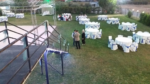 Carpediem Kır Düğün Salonu Kır Düğünü Fiyatları Torbalı İzmir