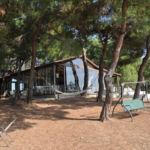 Teos Park Kır Düğünü Fiyatları Seferihisar İzmir