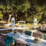 Teos Park Kır Düğünü Fiyatları Seferihisar İzmir