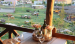 Events Slow Sloon Kır Düğünü Fiyatları Seferihisar İzmir