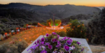 Lindos Garden Kır Düğünü Fiyatları Selçuk İzmir