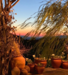 Lindos Garden Kır Düğünü Fiyatları Selçuk İzmir