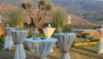 Nea Efessos - Maza Kitchen & Lounge Kır Düğünü Fiyatları Selçuk İzmir