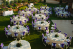 Erbil Organizasyon Doğum Günü & Baby Shower Organizasyonu Fiyatları Şehzadeler Manisa