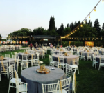Cactus Garden Wedding & Event Kır Düğünü Fiyatları Torbalı İzmir