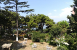 Mavi Restaurant Otel Kır Düğünü Fiyatları Adalar İstanbul