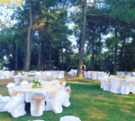 Etzade Kır Bahçesi Kır Düğünü Fiyatları Arnavutköy İstanbul