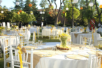 Atlı Spor Kulübü Nikah Salonu ve Evlendirme Dairesi Fiyatları Yenimahalle Ankara