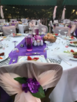 Pedaliza Hotel Otelde Düğün Fiyatları Darıca Kocaeli