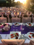 Pedaliza Hotel Otelde Düğün Fiyatları Darıca Kocaeli