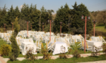 Çamlıbahçe Piknik Alanı Kır Düğün Fiyatları Pendik İstanbul