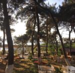 Mavi Kulüp Büyükada Kır Düğünü Fiyatları Adalar İstanbul