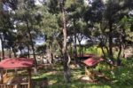 Mavi Kulüp Büyükada Kır Düğünü Fiyatları Adalar İstanbul