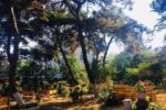Mavi Kulüp Büyükada Kır Düğünü Fiyatları Adalar İstanbul