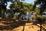 Mavi Kulüp Büyükada Kır Düğünü Fiyatları Adalar İstanbul