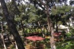 Mavi Kulüp Büyükada Kır Düğünü Fiyatları Adalar İstanbul