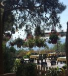 Mavi Kulüp Büyükada Kır Düğünü Fiyatları Adalar İstanbul