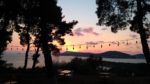 Mavi Kulüp Büyükada Kır Düğünü Fiyatları Adalar İstanbul