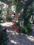 Mavi Kulüp Büyükada Kır Düğünü Fiyatları Adalar İstanbul