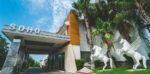 Belek Soho Beach Club Balayı Fiyatları Serik Antalya