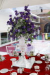 Casamento Kına Gecesi Sarıyer İstanbul