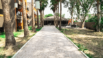 Dionisus Hotel Belek Balayı Oteli Fiyatları Serik Antalya