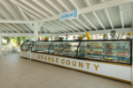 Orange County Resort Hotel Belek Balayı Oteli Fiyatları Serik Antalya