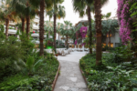 Bieno Venüs Hotel & Spa Balayı Oteli Fiyatları Side Antalya
