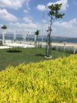 Batı Garden Kır Düğünü Fiyatları Büyükçekmece İstanbul
