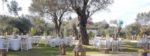 Serenity Garden Kır Düğünü Fiyatları Foça İzmir