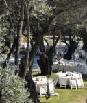 Serenity Garden Kır Düğünü Fiyatları Foça İzmir