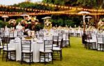 Palm Park Kır Düğünü Fiyatları Çiğli İzmir