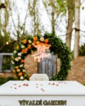 Vivaldi Garden Events Kır Düğünü Etimesgut Ankara