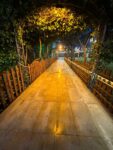 Masal Garden Kır Düğünü Fiyatları Buca İzmir