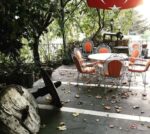 Çardak Cafe Restaurant Nikah Sonrası Yemek Fiyatları Talas Kayseri