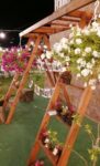 Bella Garden Kır Düğünü Fiyatları Beykoz İstanbul